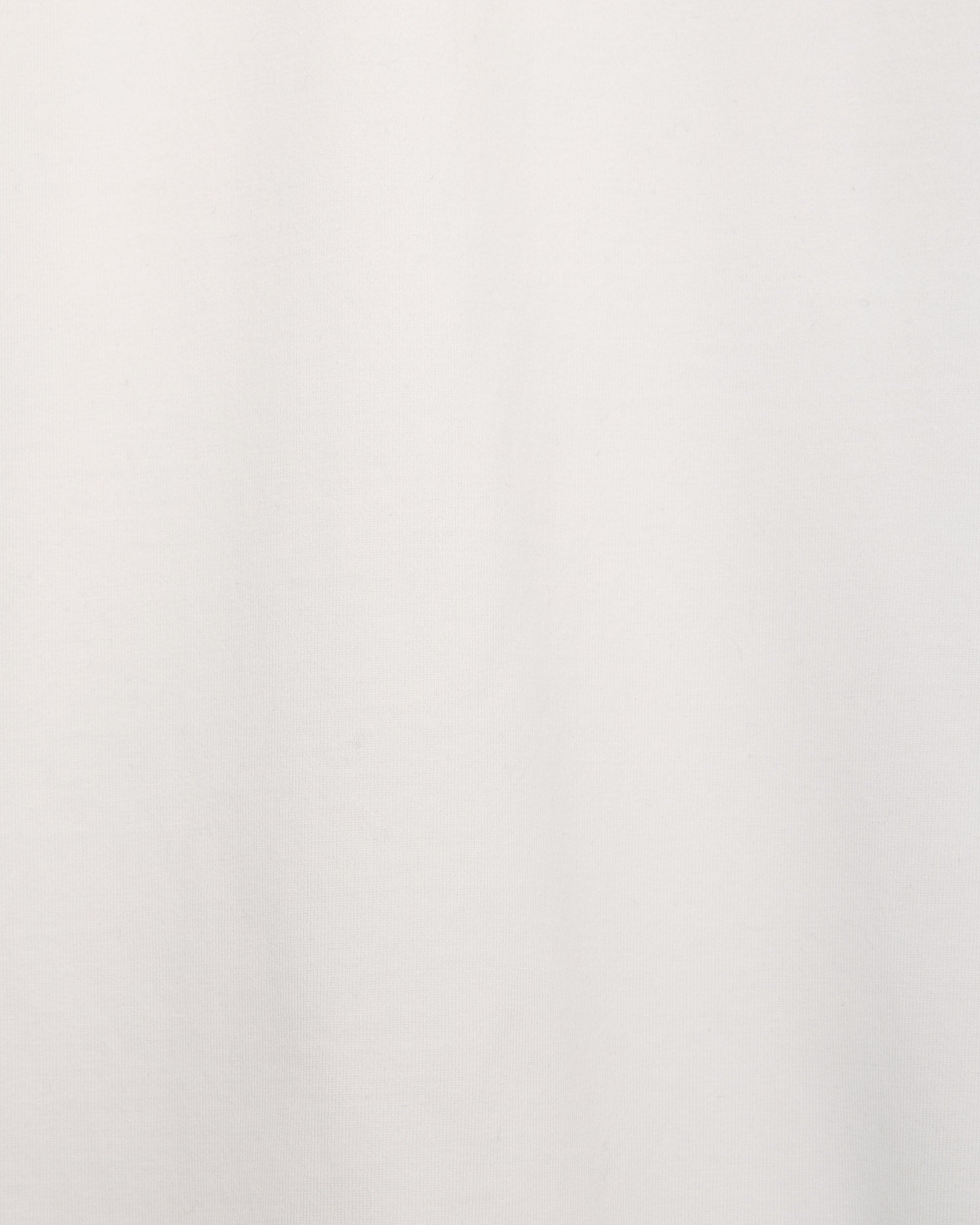 オーガニックGIZA 60/3天竺 サバイバルクロス® / リラックスフィットTee, White